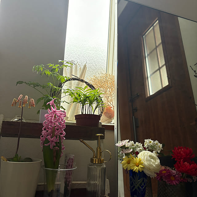 yunroomさんの部屋