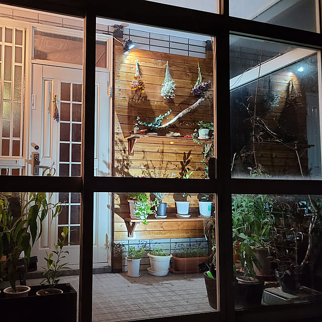 玄関/入り口/照明/DIY/観葉植物/多肉植物...などのインテリア実例 - 2020-12-15 21:28:09