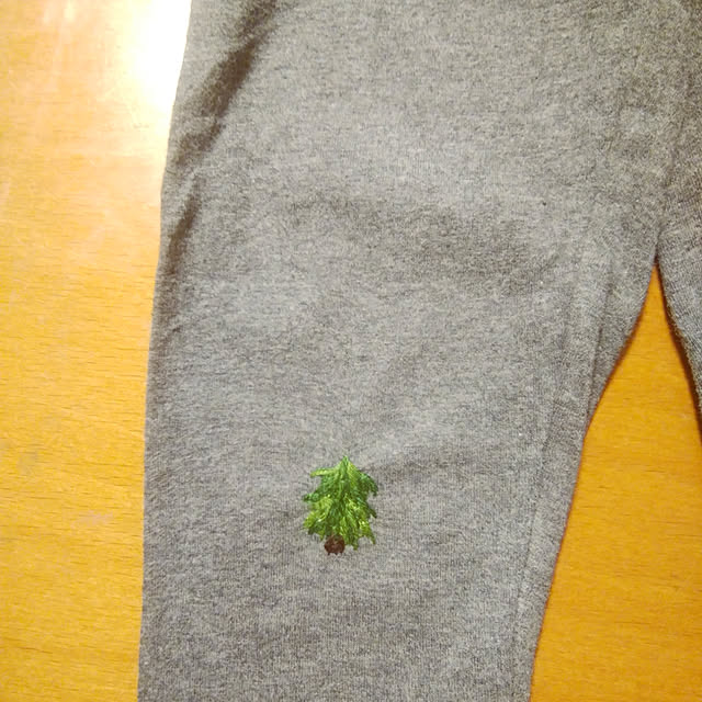 kestyukiさんの実例写真