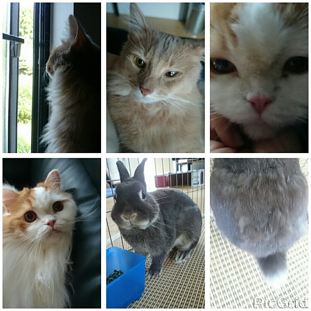 1ldksさんの実例写真