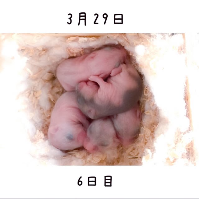 Yukoさんの実例写真