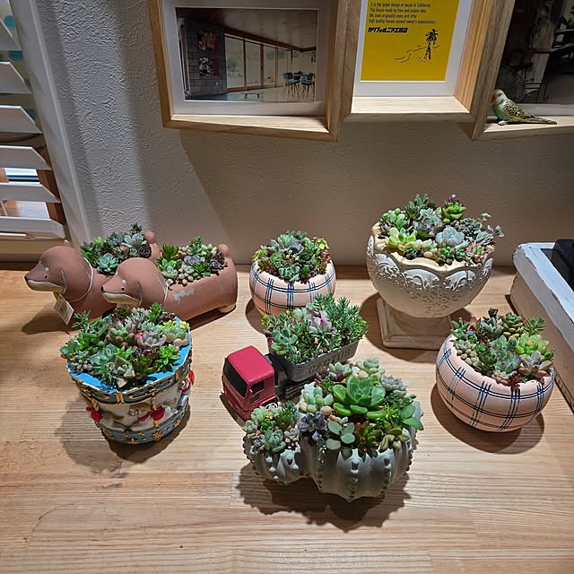 nonbiri_house_さんの部屋