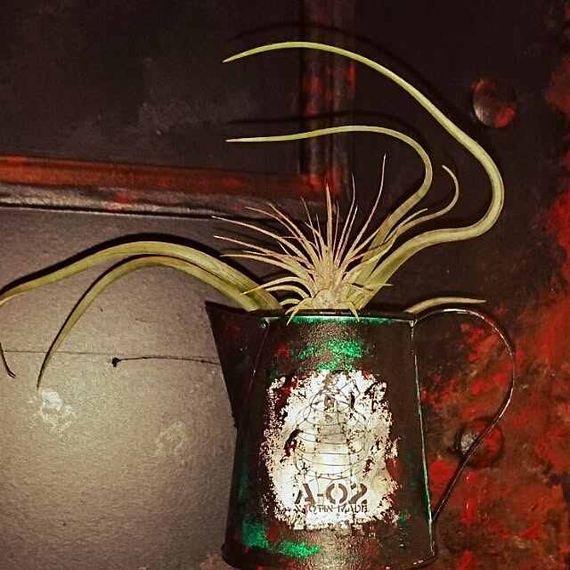 naotinさんの実例写真