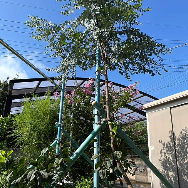 ronronさんの部屋