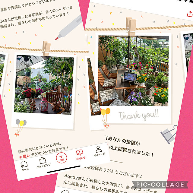 Aqettyさんの実例写真