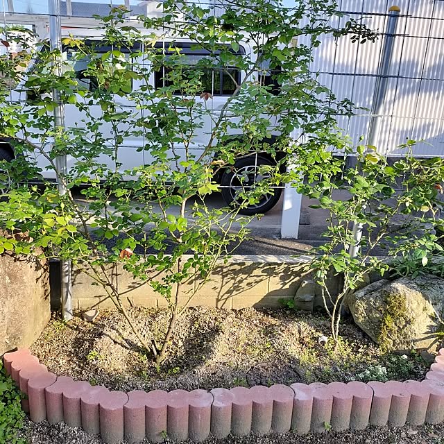 sumimarumiさんの実例写真