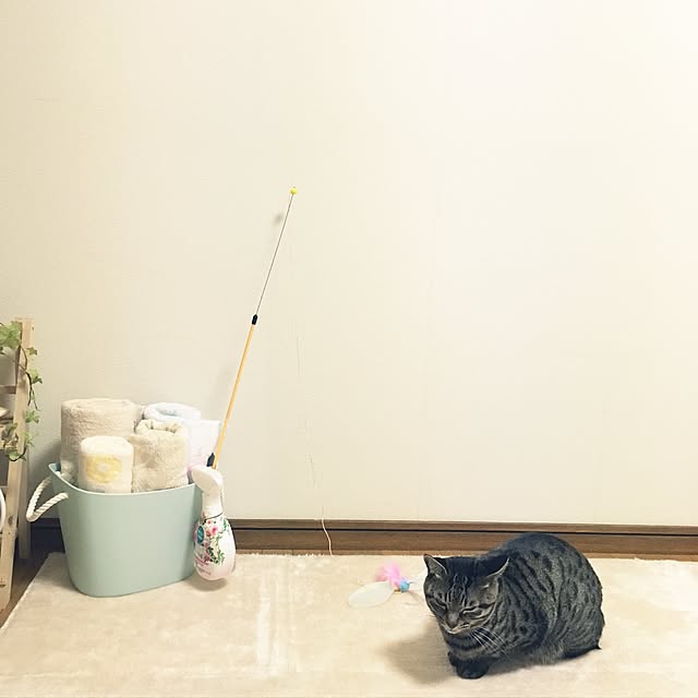 Kanaさんの実例写真