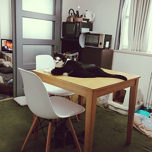 tobiさんの実例写真