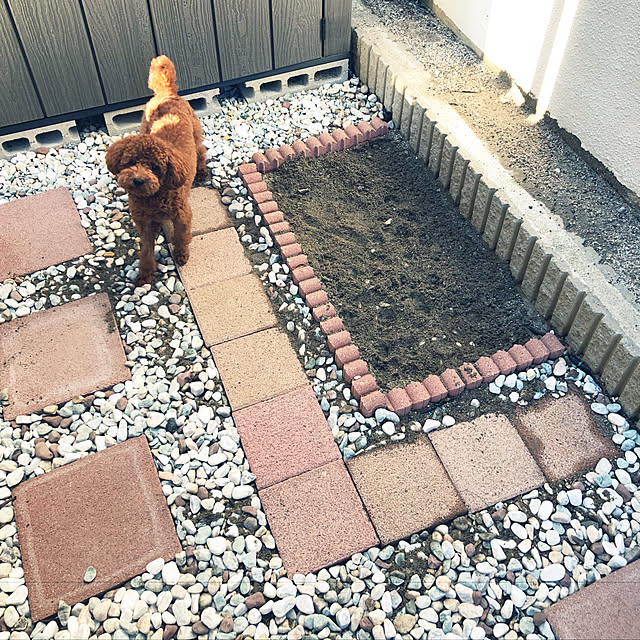 miuさんの実例写真