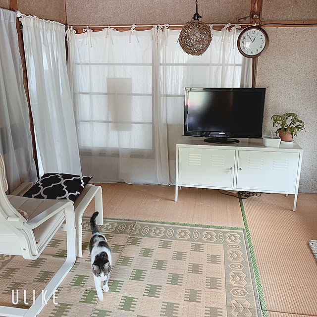 Shihoさんの実例写真