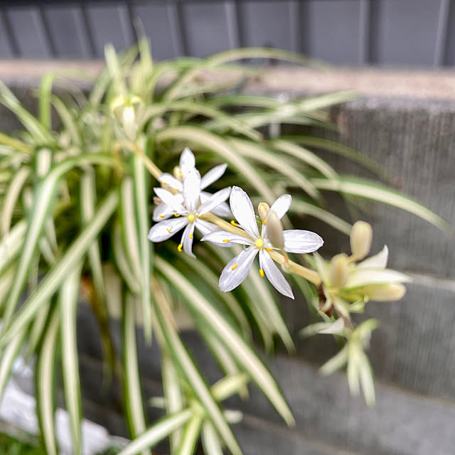 YuuKoさんの部屋