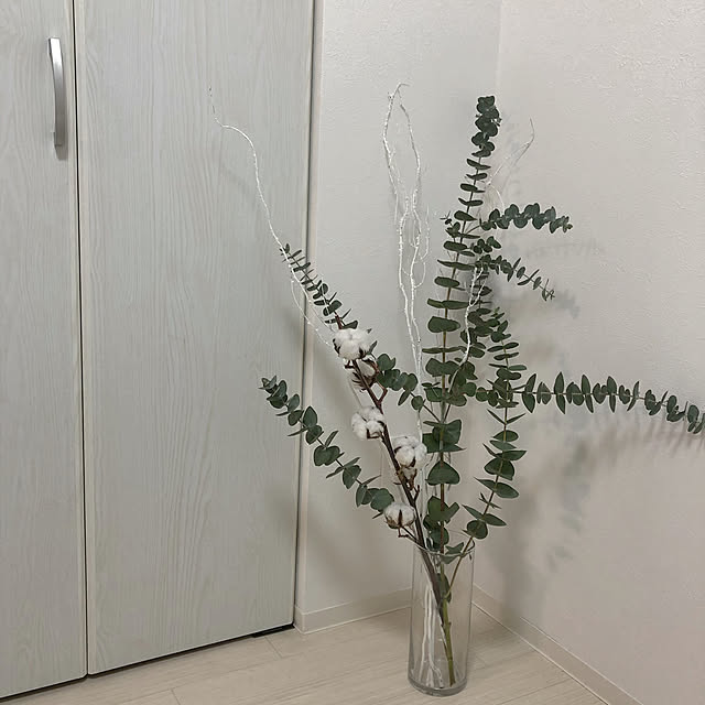 Nanaさんの実例写真