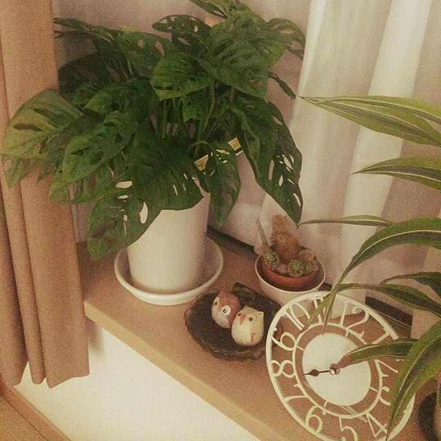 実例写真