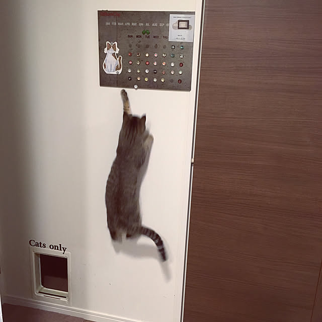 mikomaruさんの実例写真