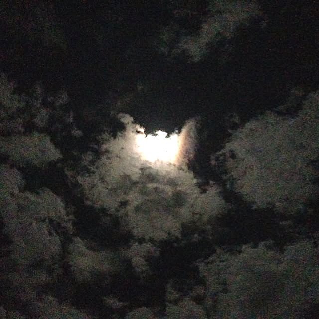 SHOW-HEYさんの実例写真