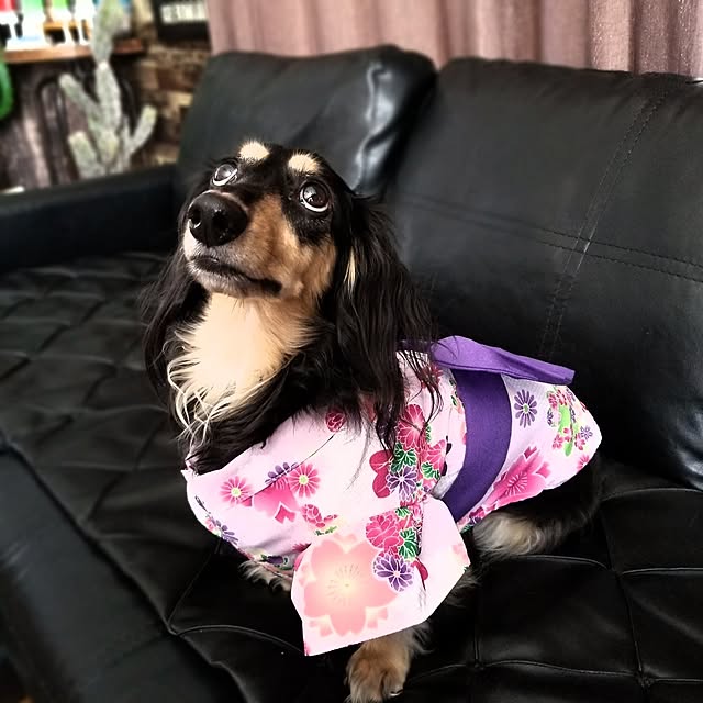 momozouさんの実例写真