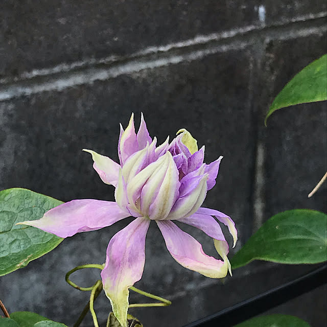 Takenoyaさんの実例写真