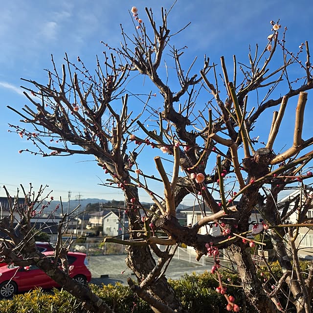 fuchan0930さんの部屋