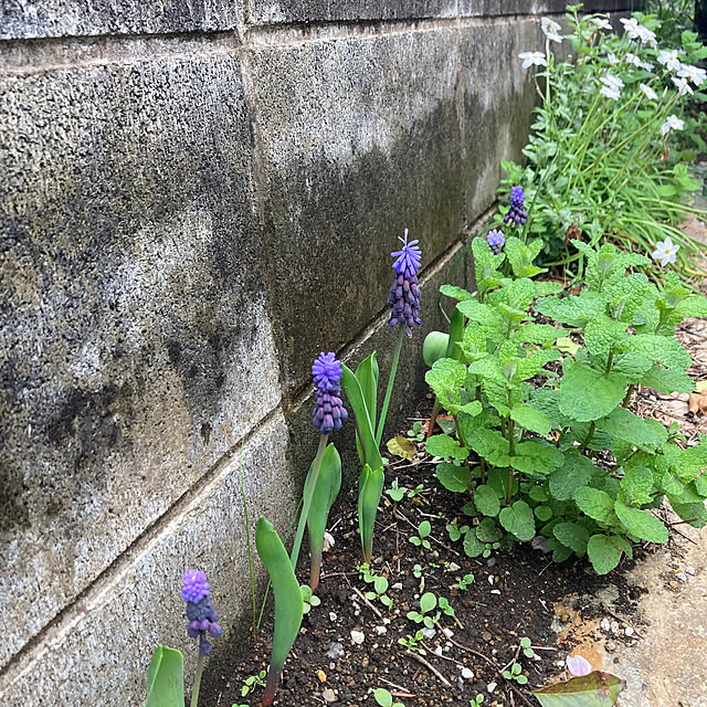 amiromikaさんの部屋