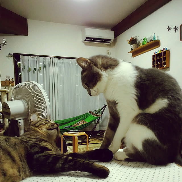 lovepandaさんの実例写真