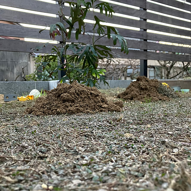 poa.t_hさんの実例写真