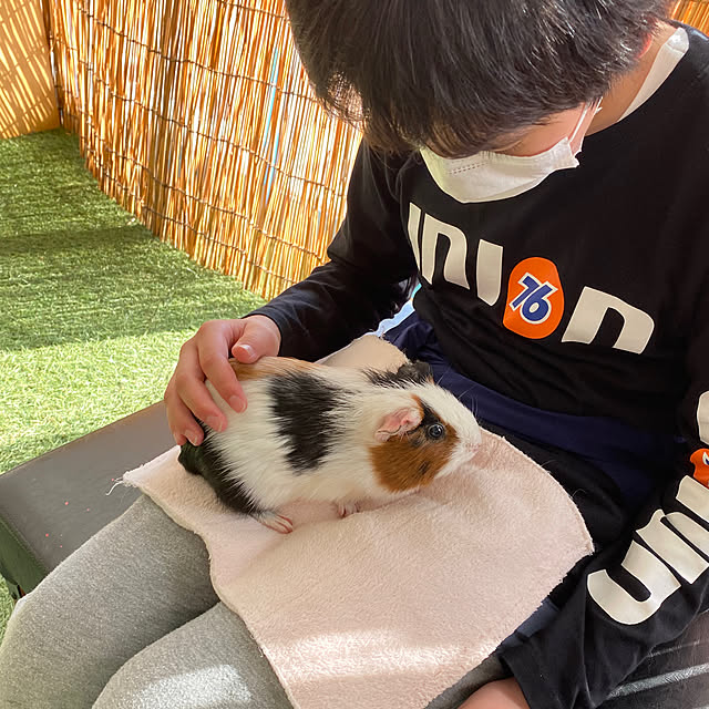 ohanaさんの部屋