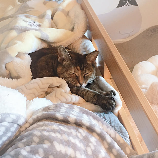 oasisさんの部屋