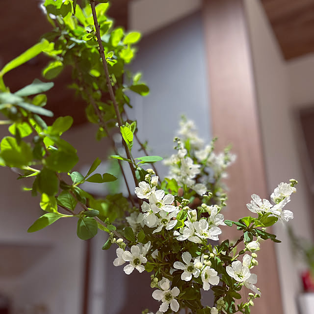 seiさんの部屋