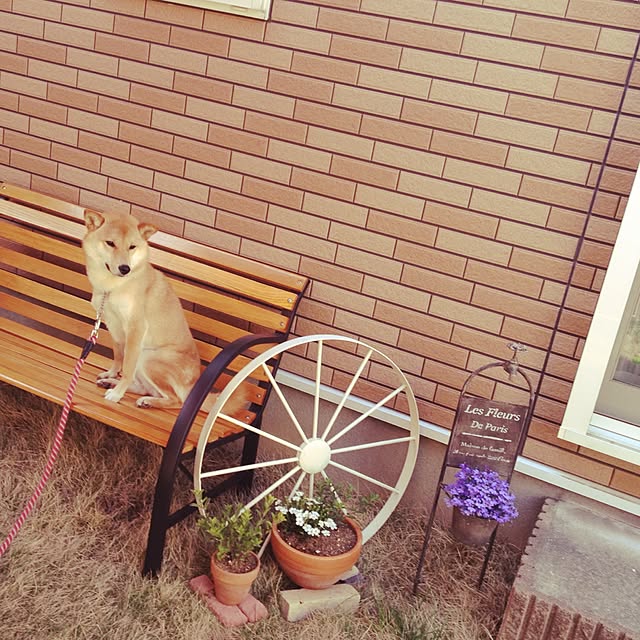 akoさんの実例写真