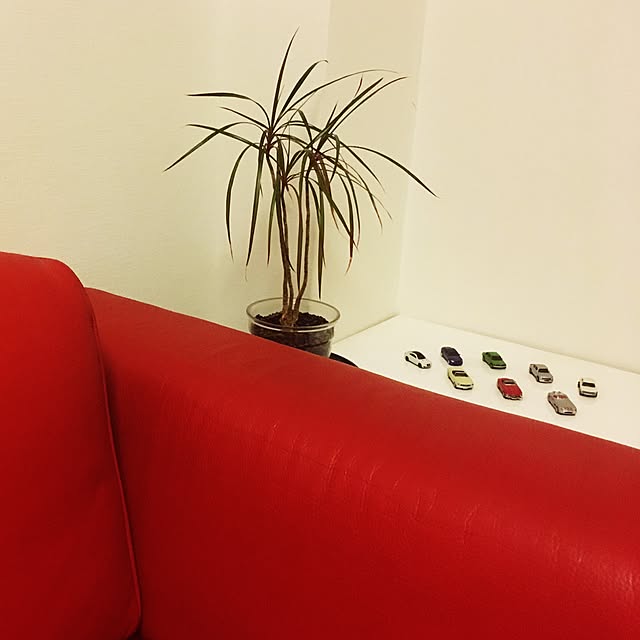 hiro1291221さんの実例写真