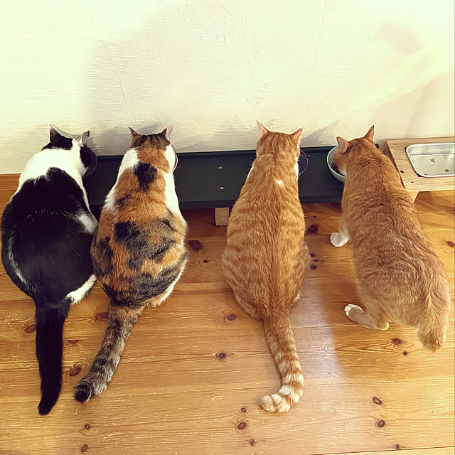 miecoroさんの実例写真