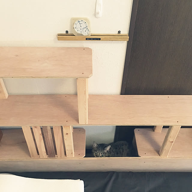 Mさんの実例写真