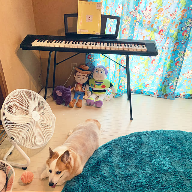SIROさんの実例写真