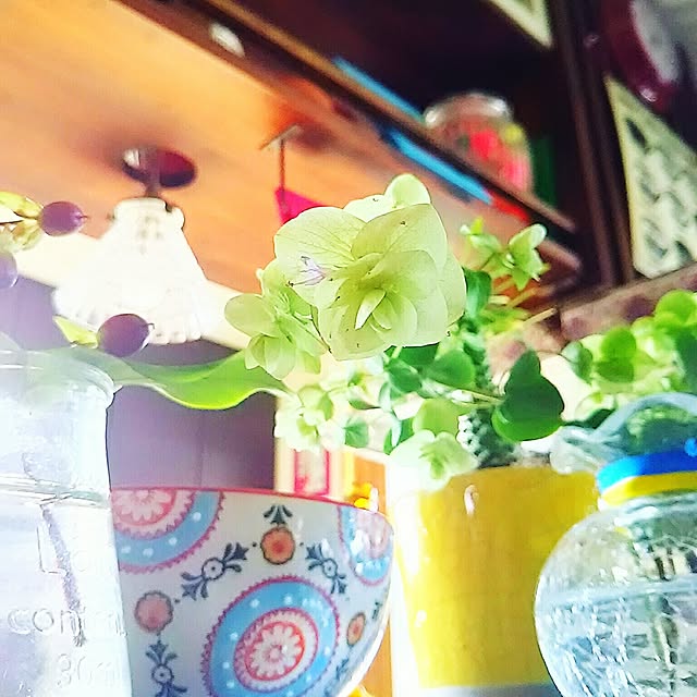 Miponappoさんの実例写真