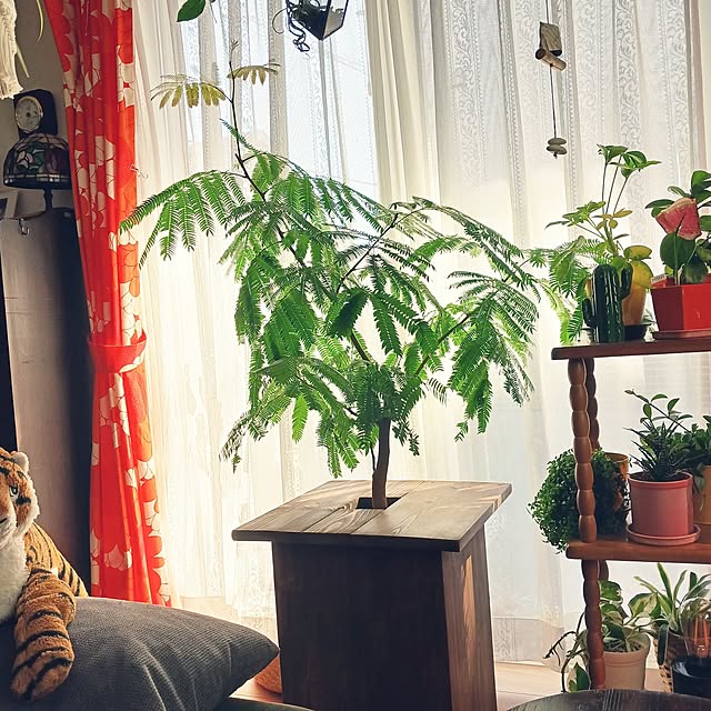 funnyfaceさんの実例写真