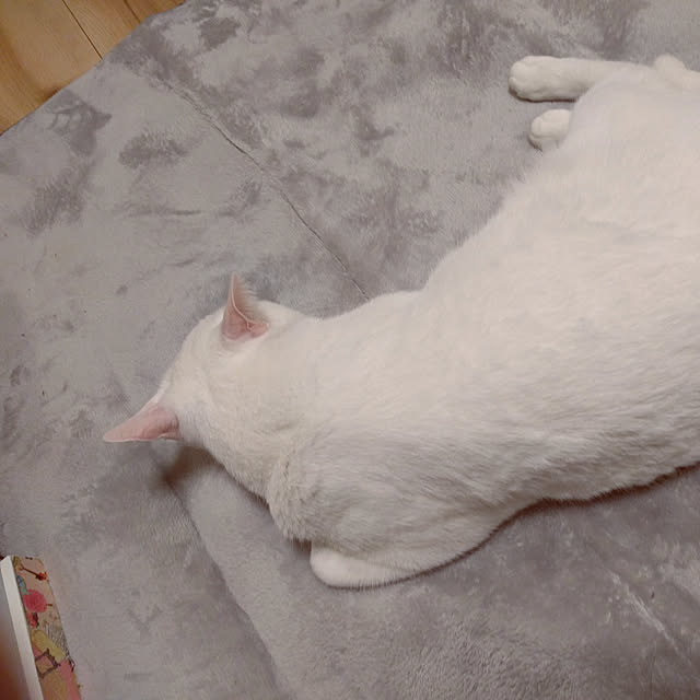 keikomokonさんの実例写真