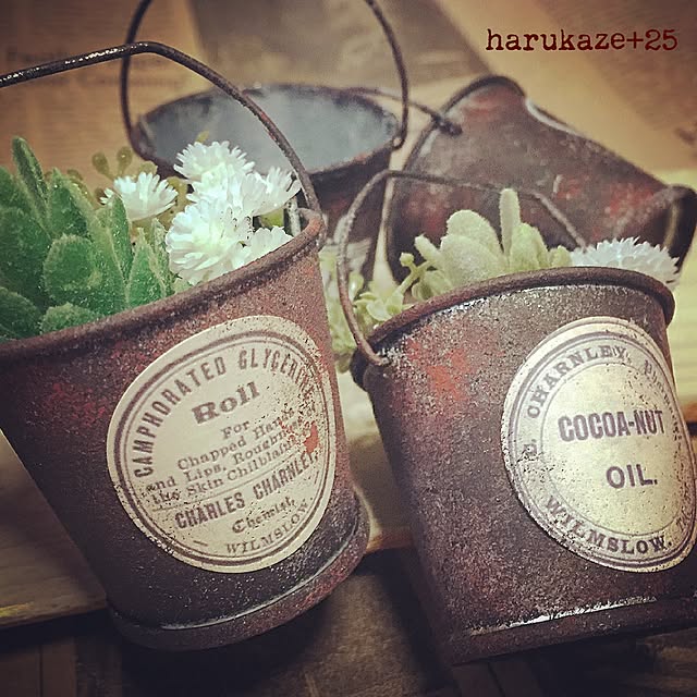Harukaze_plus_25さんの実例写真
