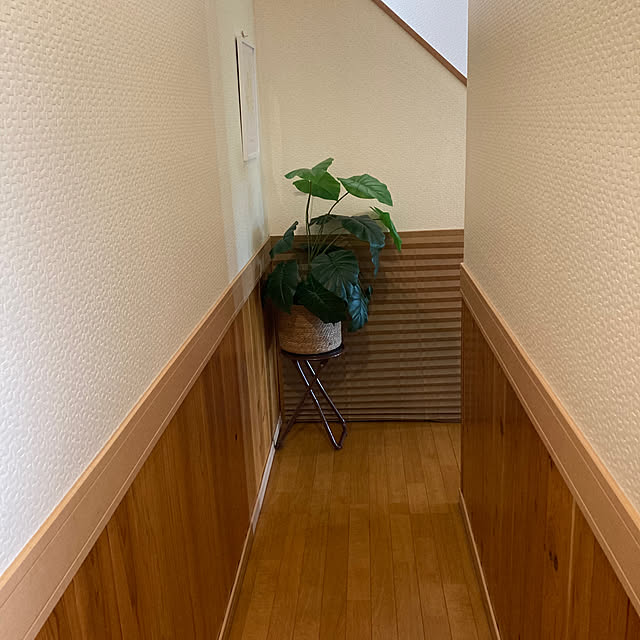 mittanさんの部屋
