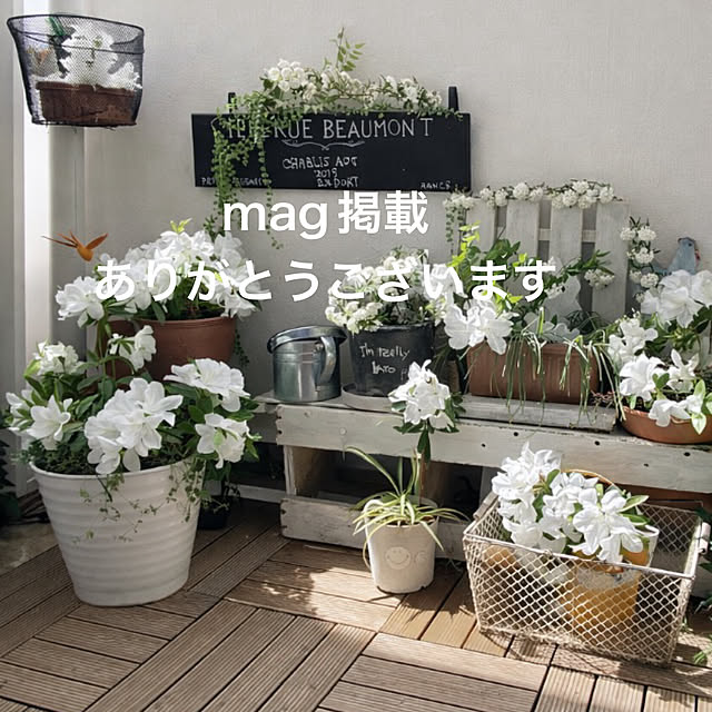 mamiさんの実例写真