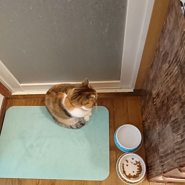 berariさんの実例写真