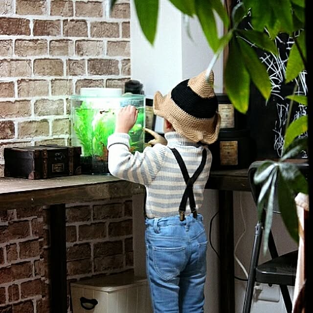 iroさんの実例写真