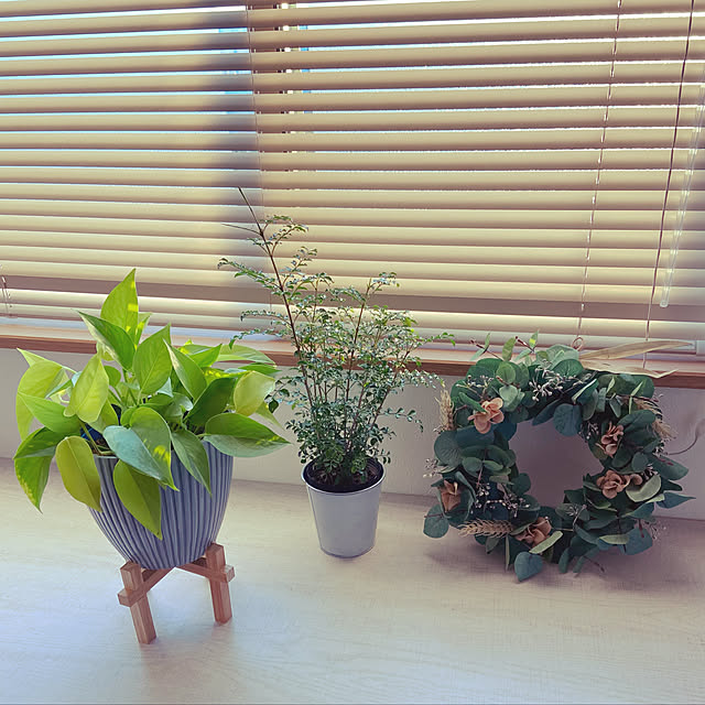 aohanaさんの実例写真