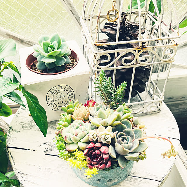 rararaさんの実例写真