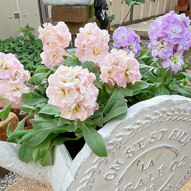 moolさんの部屋