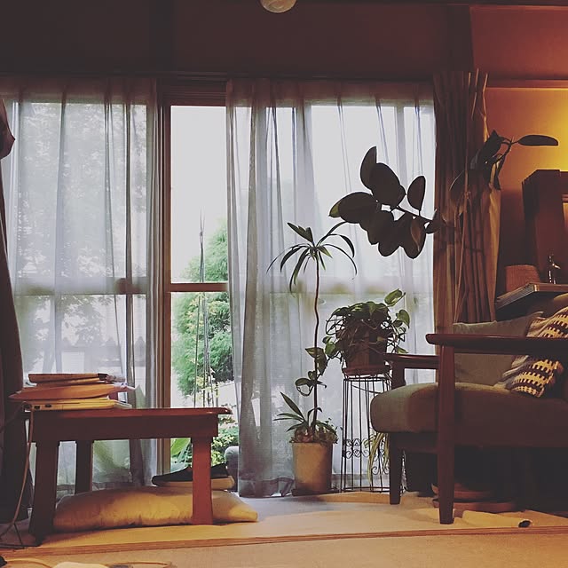 kotomouさんの実例写真