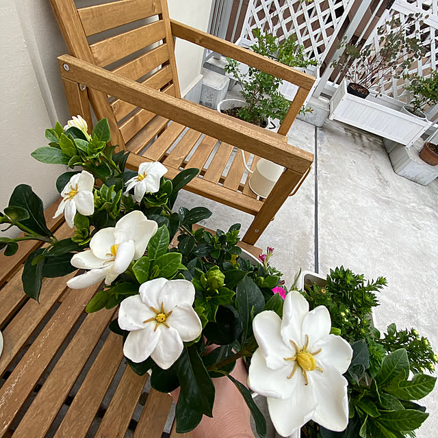 ChitoseImanishiさんの部屋