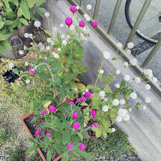 h.t.さんの実例写真