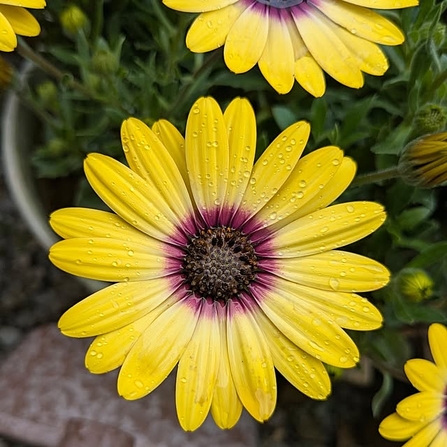 mofukoさんの部屋