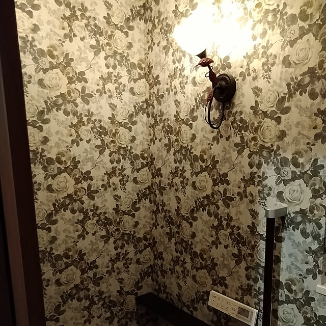バス/トイレ/照明/アンティーク/モノトーン/トイレ壁紙...などのインテリア実例 - 2020-07-07 23:32:55