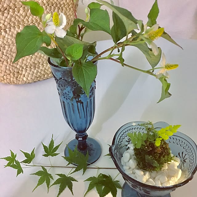 Mopmamaさんの実例写真
